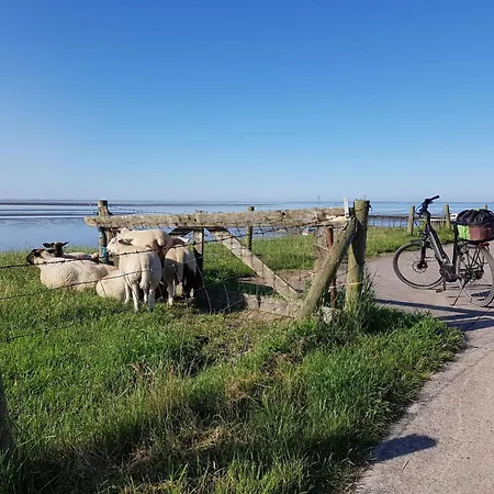 B 2 Direkt Am Binnensee- Seeblick By Interhome * Grosswurden