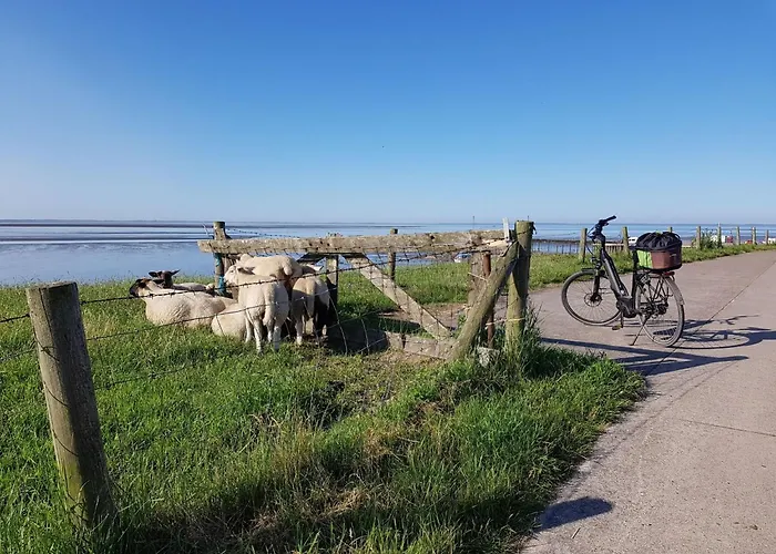 B 2 Direkt Am Binnensee- Seeblick By Interhome * Grosswurden